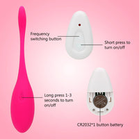 Remoter Control Vibrator